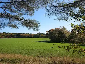 Nautelankoski Nature Trail