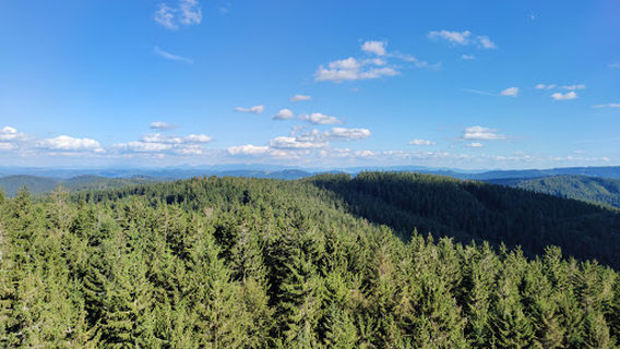 Velké Karlovice
