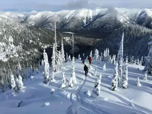 Great Northern Powder Guides