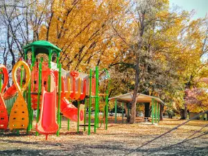 Paonia Park