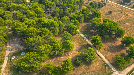 Camping Pineta