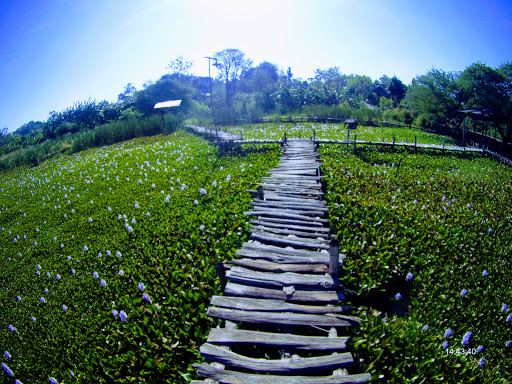 Taman Wisata Bunga Manutapen