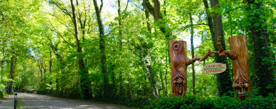 Camping Laarbrug
