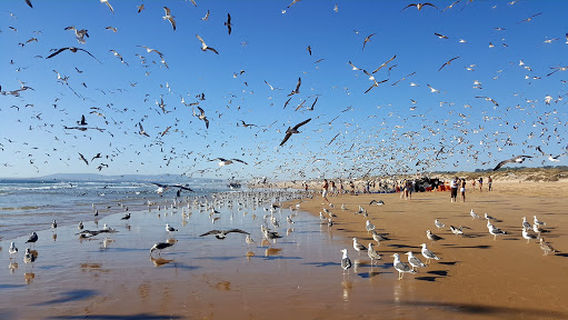 Praia da Bolina