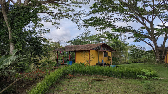 Pick Up Nativo Adventures