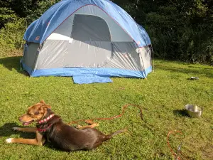 Fawn Lake Campground