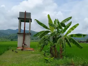 Asanwa Tempo Park