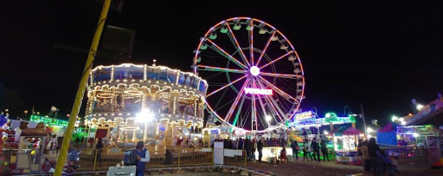 Terrenos de la Feria Los Reyes
