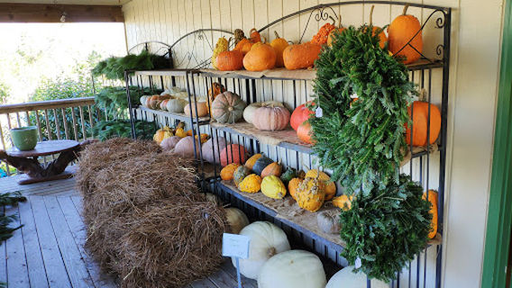 Kitty Hawk Garden Center