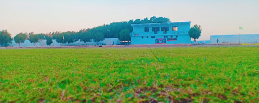 Cricket Stadium