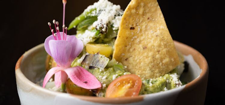 Alejandra’s Fine Mexican Food & Cantina