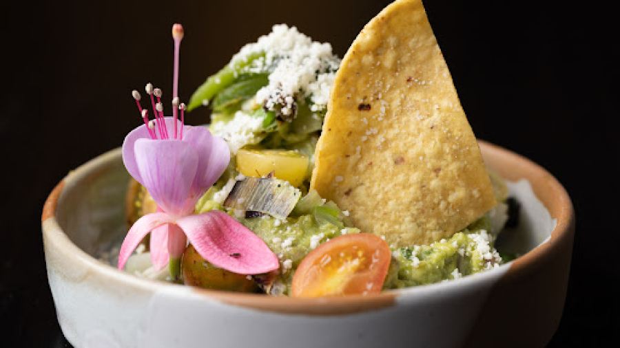 Alejandra’s Fine Mexican Food & Cantina