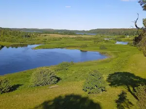 Городище Савкина Горка