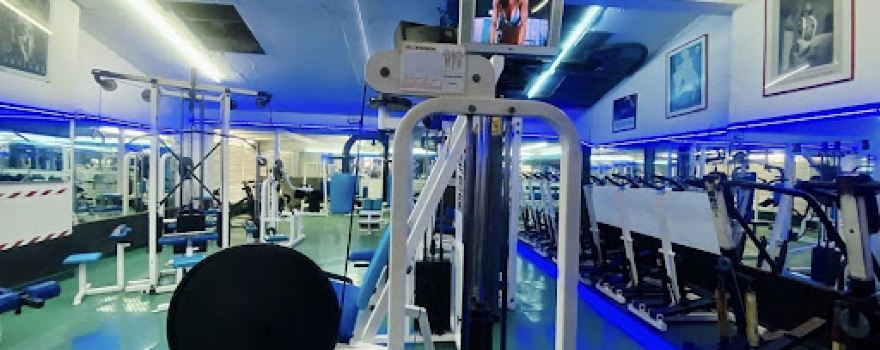 Gimnasio Flamingo