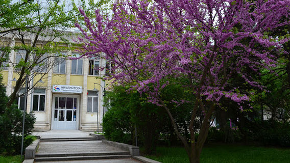 Silistra