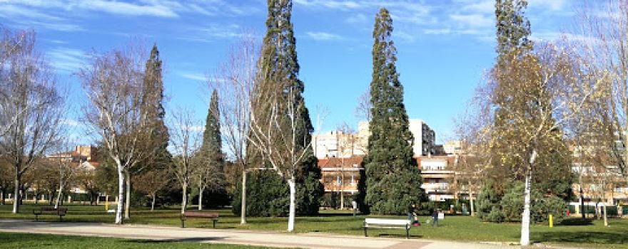 Constitución Park