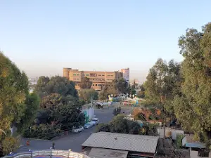 Althawra Park