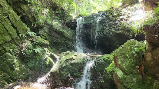 八王子城