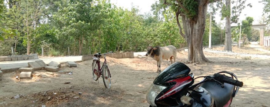 Vanasati Devi Mandir Niyardeeh