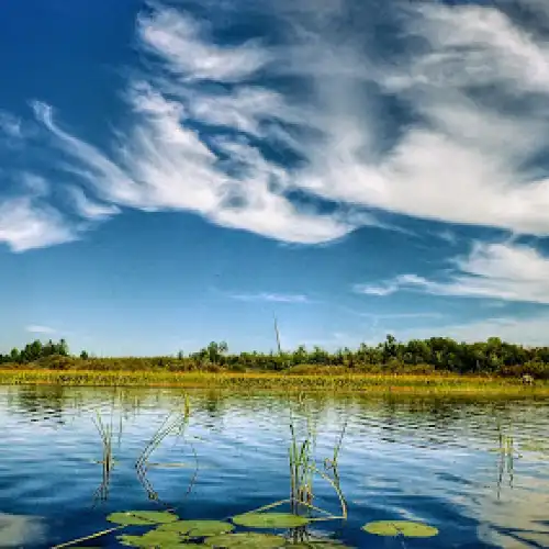 Turtle-Flambeau Patterned Bog State Natural Area