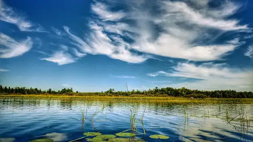 Turtle-Flambeau Patterned Bog State Natural Area