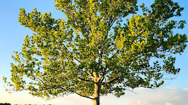 Hurricane Lake - Primative Camping