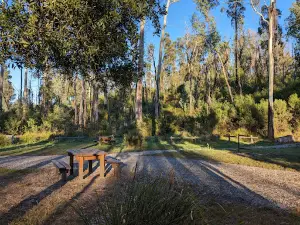 Goongerah Campground