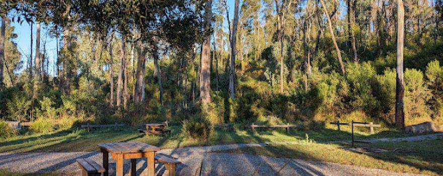 Goongerah Campground