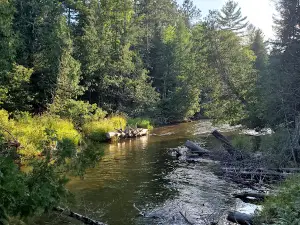 Scheck's Place State Forest Campground