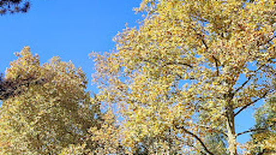 Park kod železničke stanice