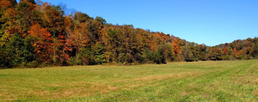 Altenbrauch Farm