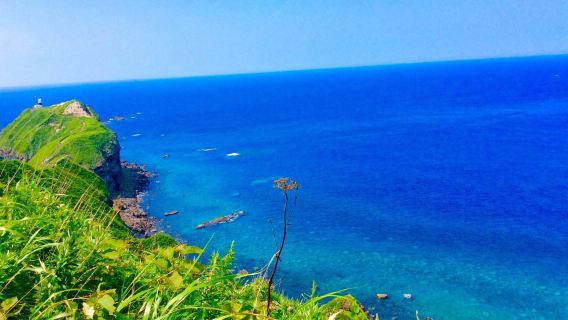 北海道神威岬ワンデーツアー：島武意海岸／積丹水中展望船／昼食付き／日本語