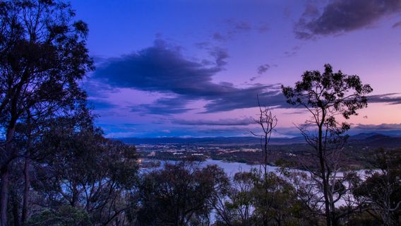 Black Mountain Nature Reserve