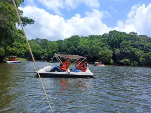 Pookode Lake