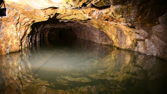 "Riese" complex - Włodarz