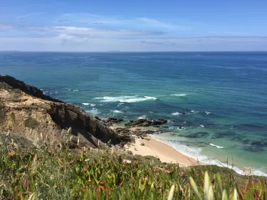 Foz do Arelho