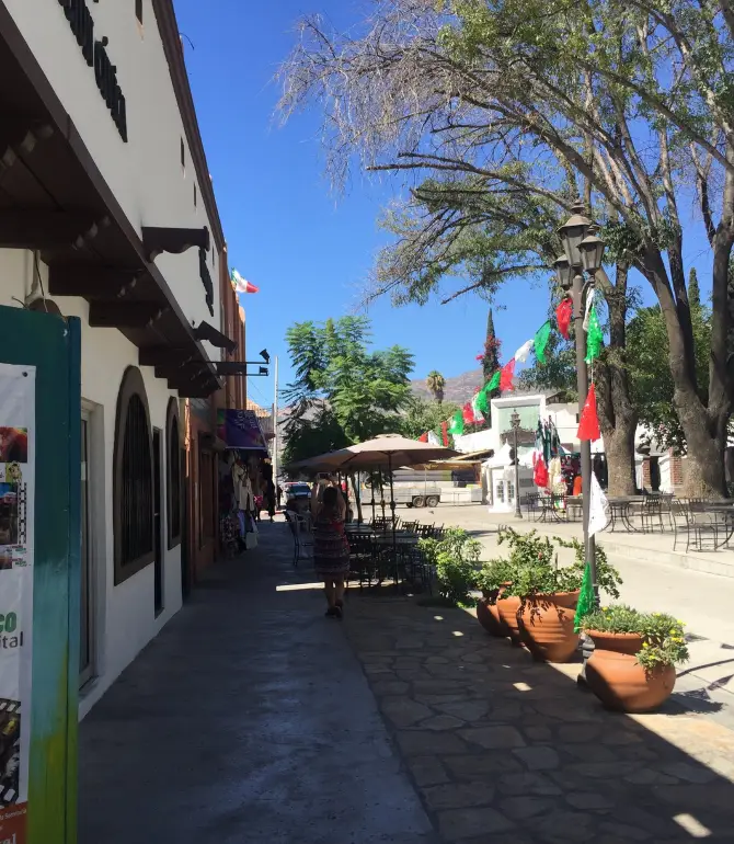 Tecate