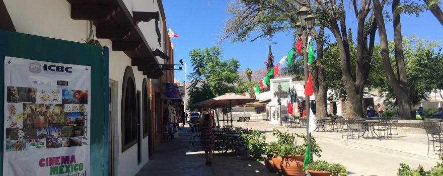 Tecate