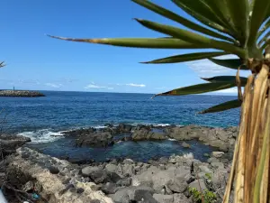 Playa de Torviscas