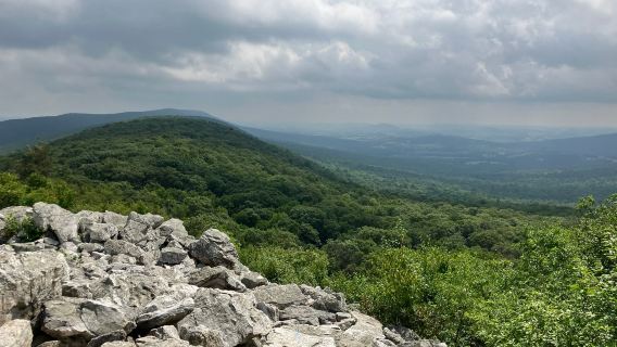 Hawk Mountain Sanctuary