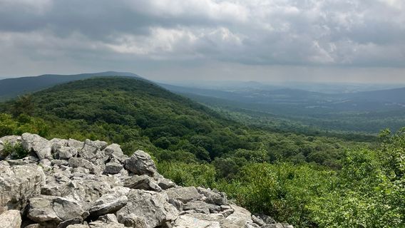 Hawk Mountain Sanctuary