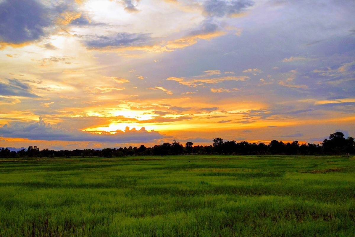อุทยานแห่งชาติภูผาม่าน