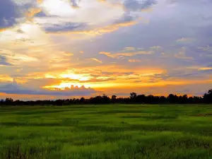 อุทยานแห่งชาติภูผาม่าน