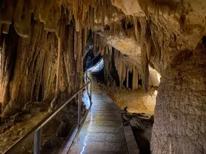 Hastings Caves and Thermal Springs