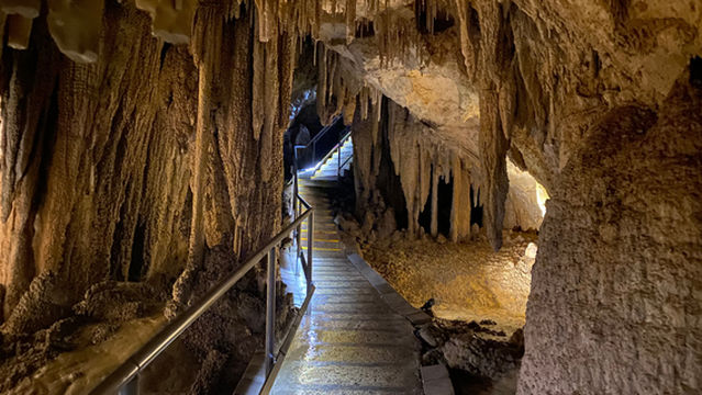 Hastings Caves and Thermal Springs