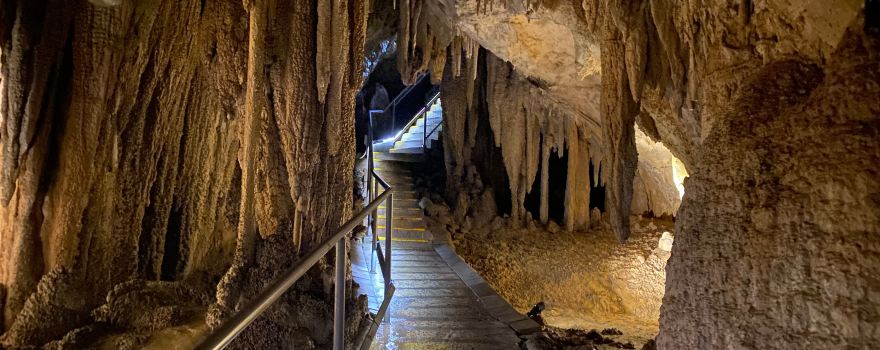 Hastings Caves and Thermal Springs