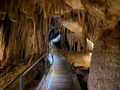 Hastings Caves and Thermal Springs