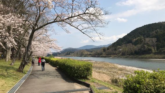 Miya River Watarai Park