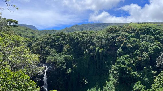Pipiwai Trail