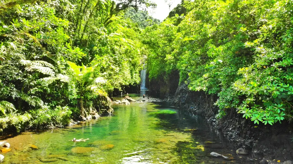 Hotels near Lavena Coastal Walk